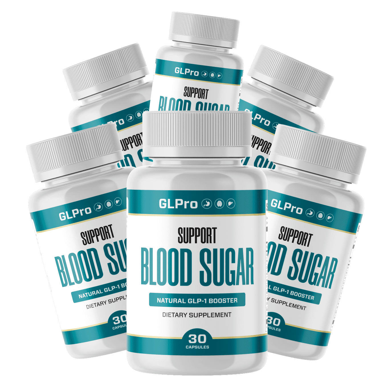 GL Pro 6 Bottles